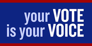 your vote is your voice